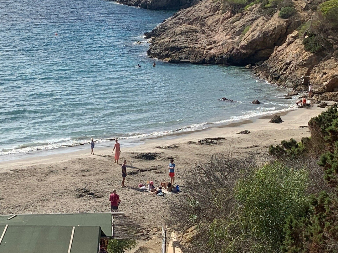 The Ibiza Express景点图片