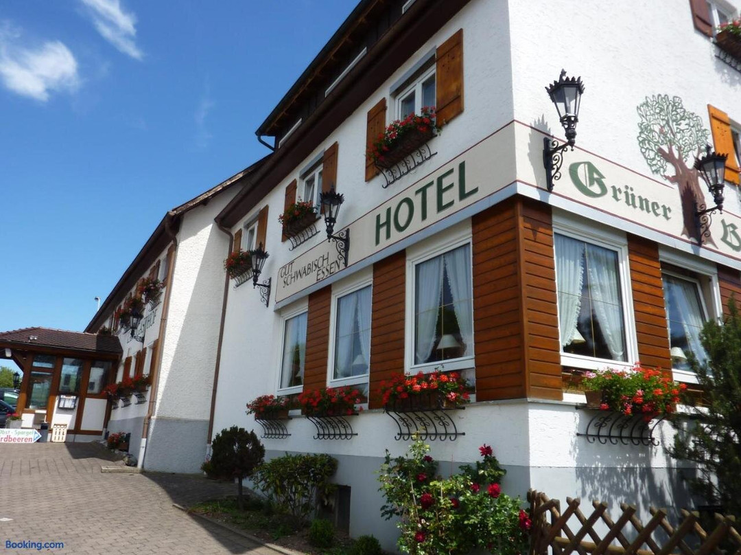 Hotel Landgasthof Gruner Baum主图