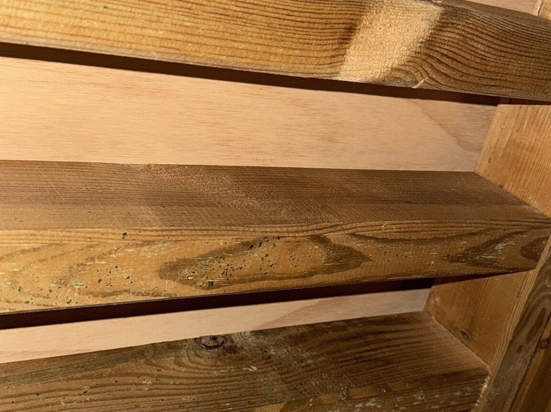 Laghi Nabi - Oasi Naturale主图