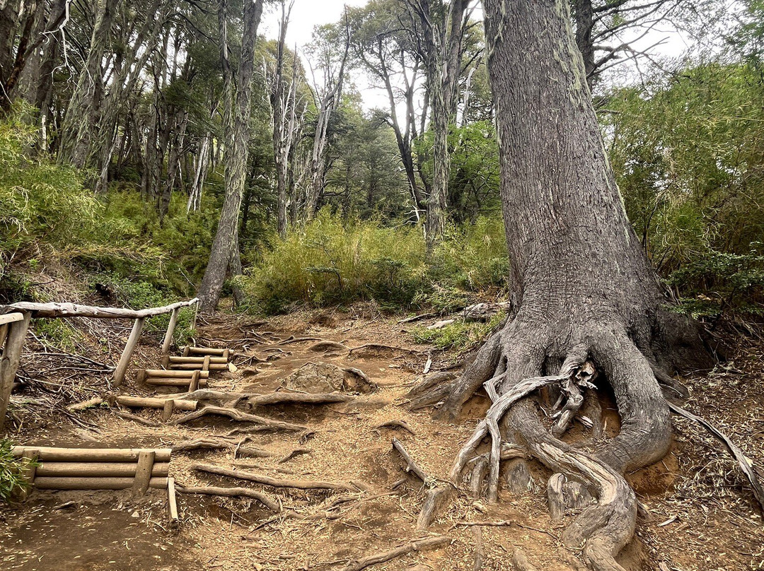 Gruta del Pangue-奇廉必去景点