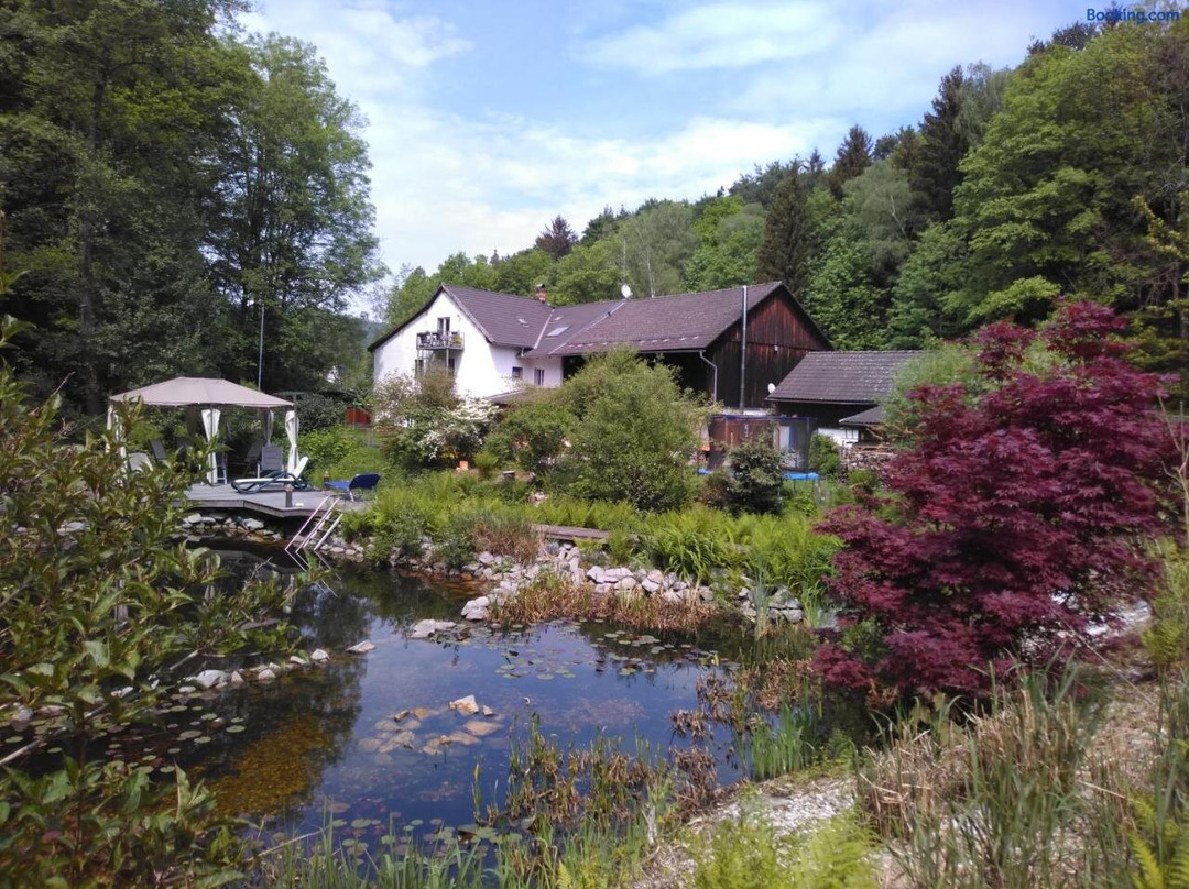 Pension Und Disco Die Mühle