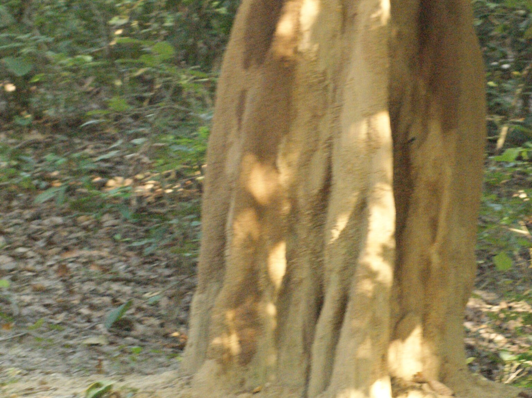 Jim Corbett Tiger Reserve