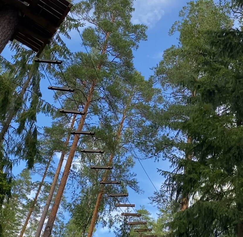 Nuuksio Reindeer Park-埃斯波必去景点
