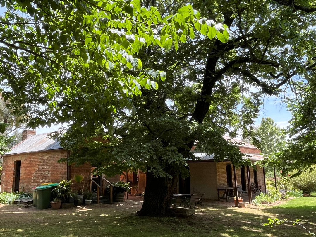 Lakeview House景点图片