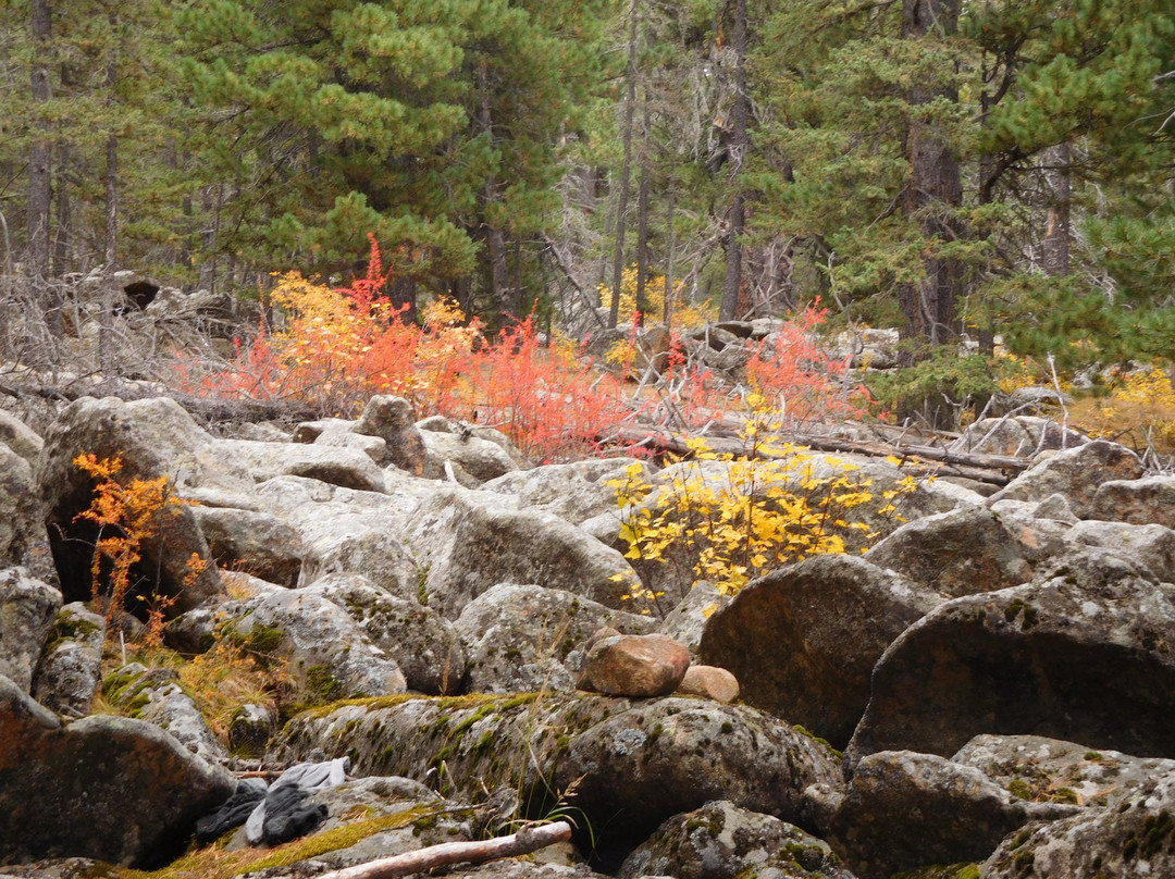 Bogd Khan Uul National Park-乌兰巴托必去景点