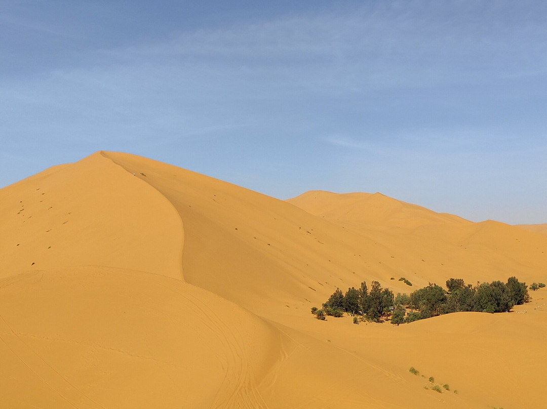 Morocco Today Travel-卡萨布兰卡必去景点