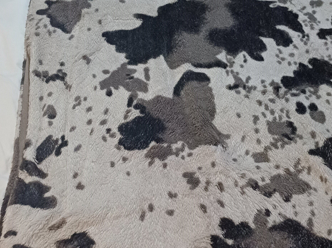 Kamohelong Luxury Accommodation主图