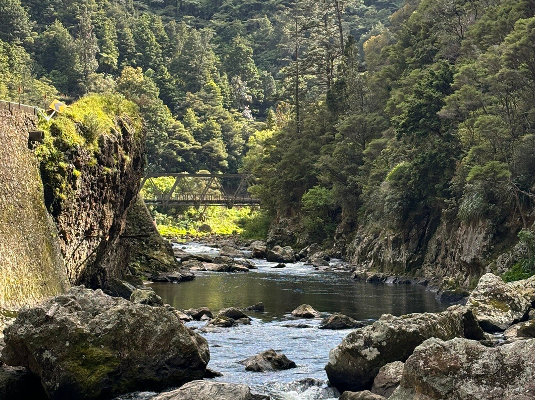 The Hauraki Experience景点图片