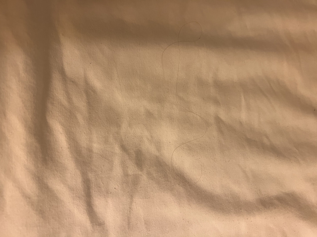 Holiday Inn Express & Suites Omaha South - Ralston Arena by IHG主图