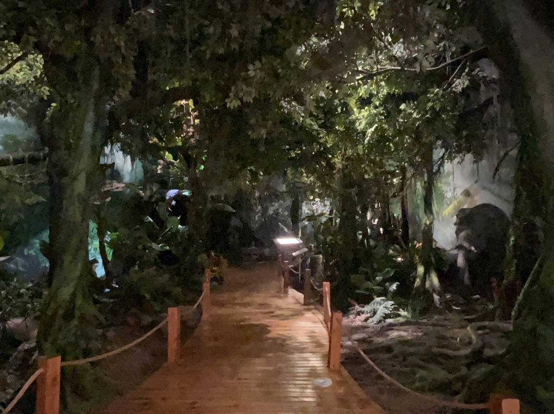 重庆自然博物馆北碚陈列馆-重庆市必去景点