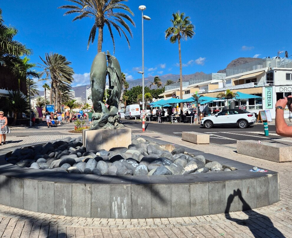Dolphin Statue-奥德杰海岸必去景点