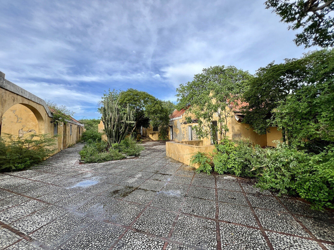 Washington Slagbaai National Park-Rincon必去景点