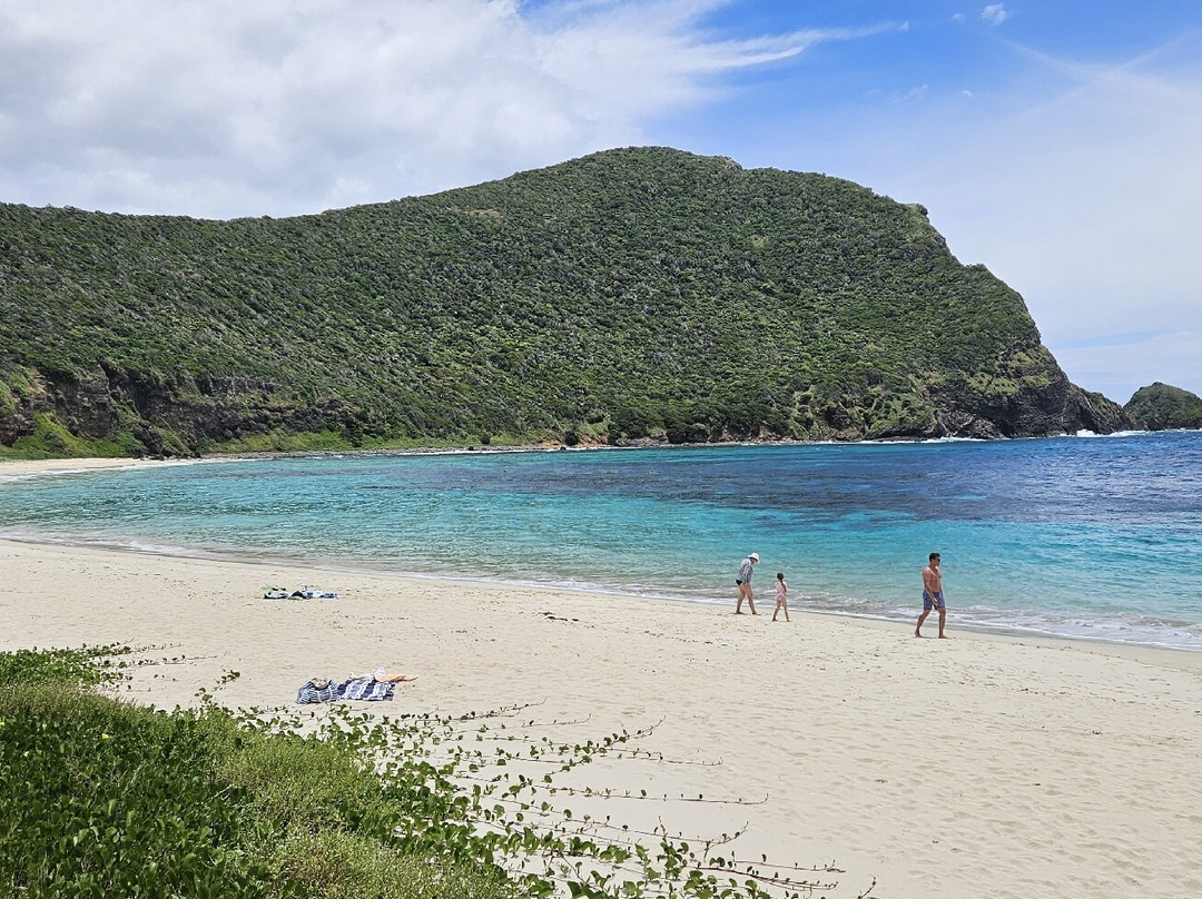 Ned's Beach-豪勋爵群岛必去景点