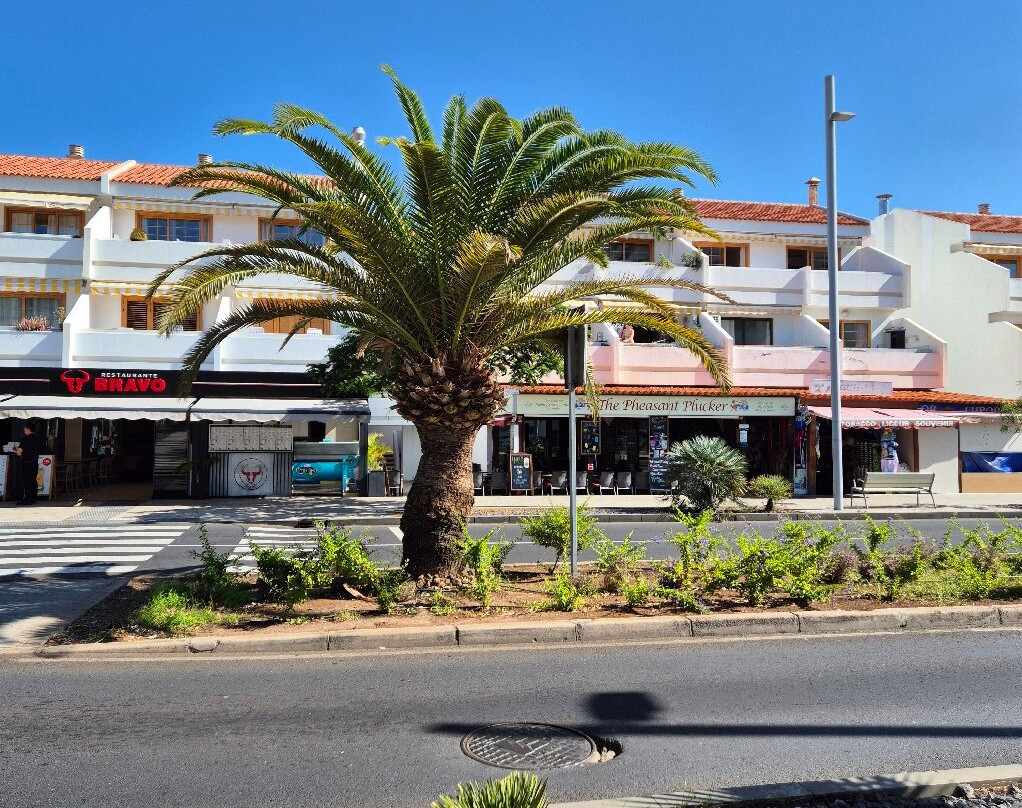 The Pheasant Plucker Tenerife-奥德杰海岸必去景点