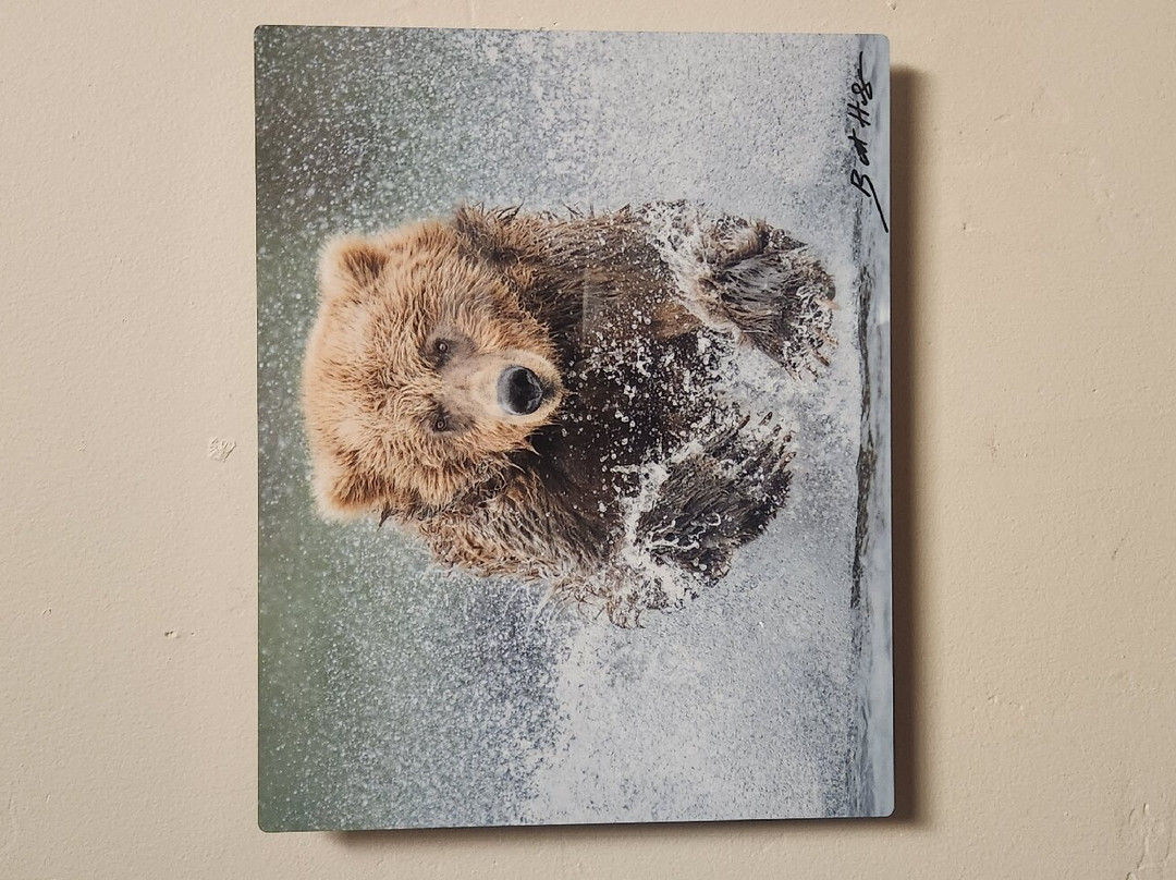 BearHead Photography Gallery-史凯威必去景点