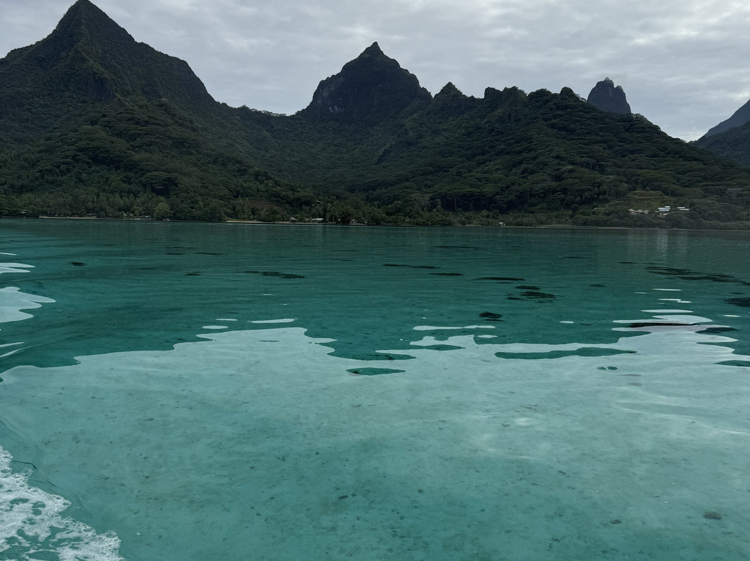 Koa Boat Tour景点图片