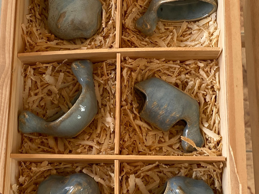 Centro de Artes Ana das Carrancas景点图片