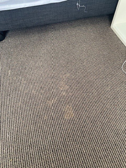 罗杰斯巴拉玛打酒店主图