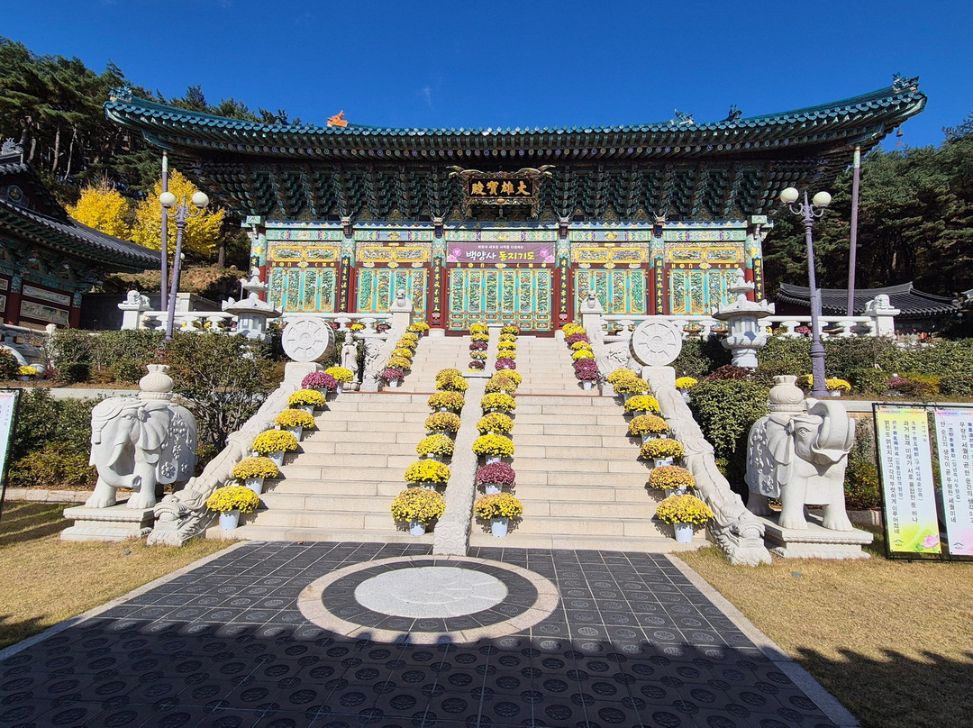 Baekyangsa Temple-长城郡必去景点