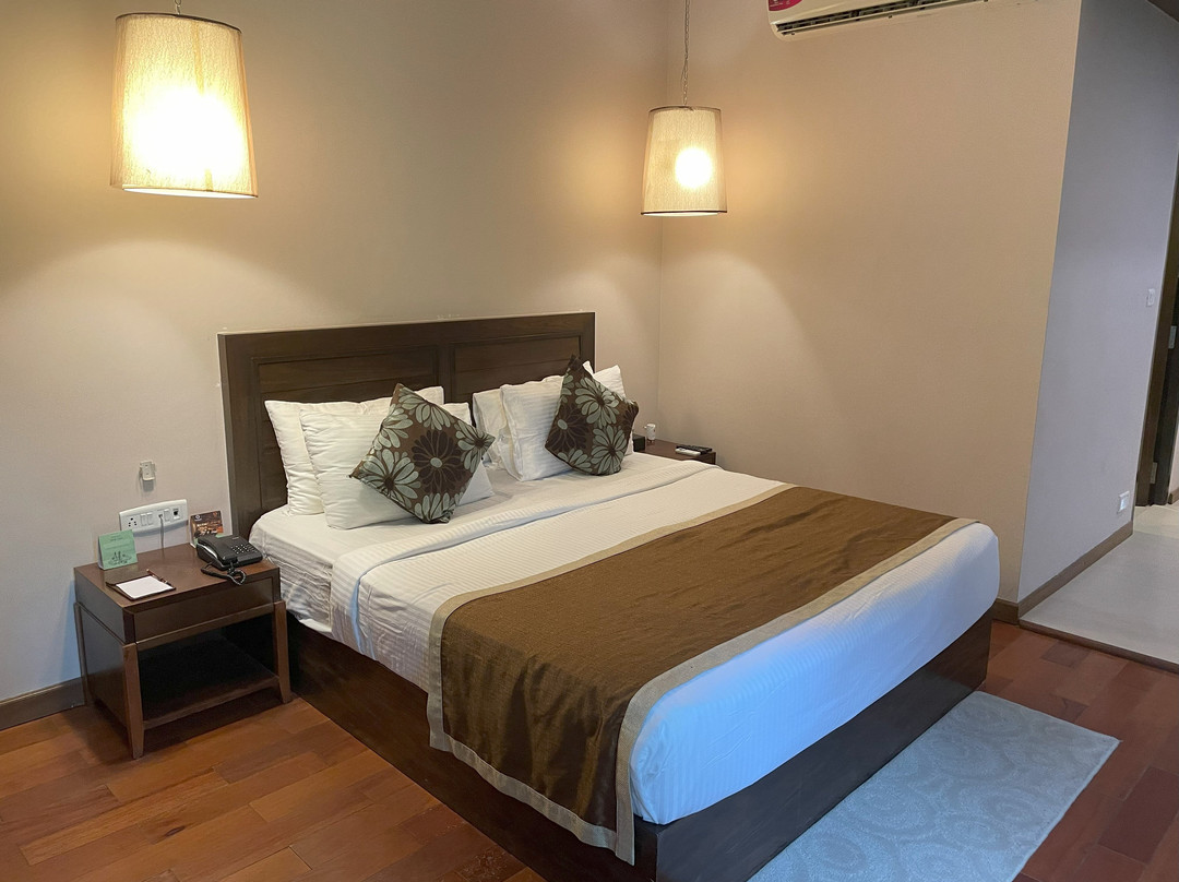 Sea Shell Neil主图