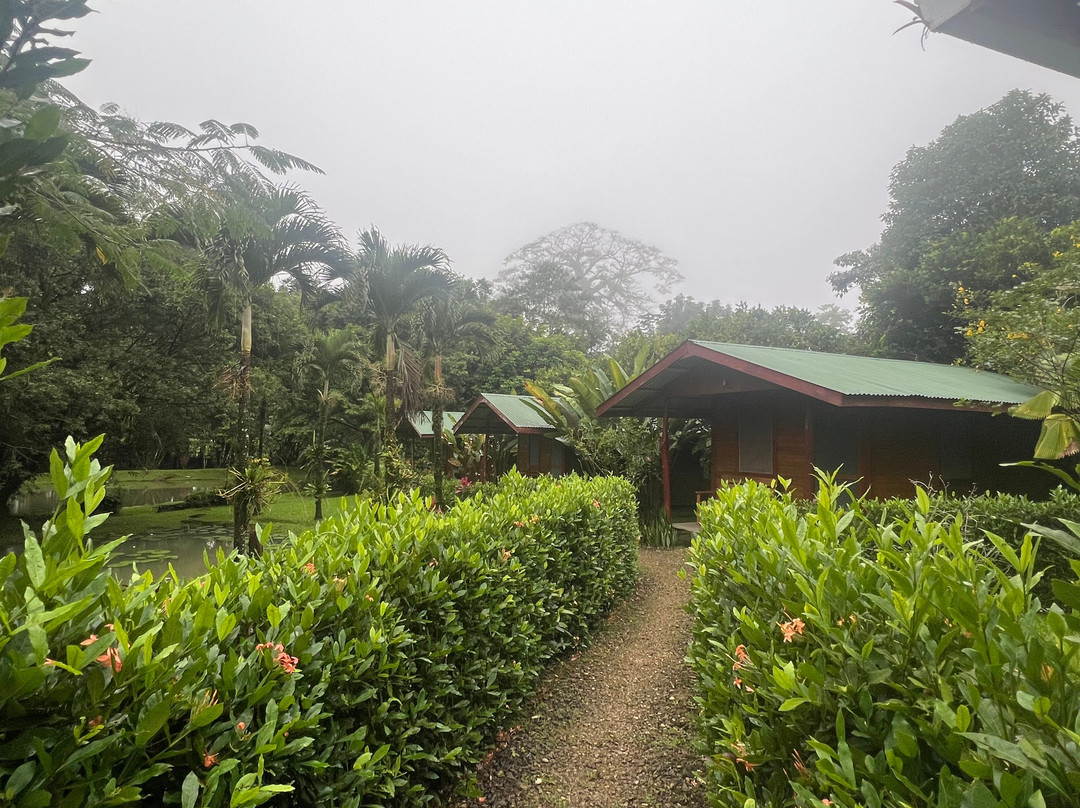 Rincon Verde