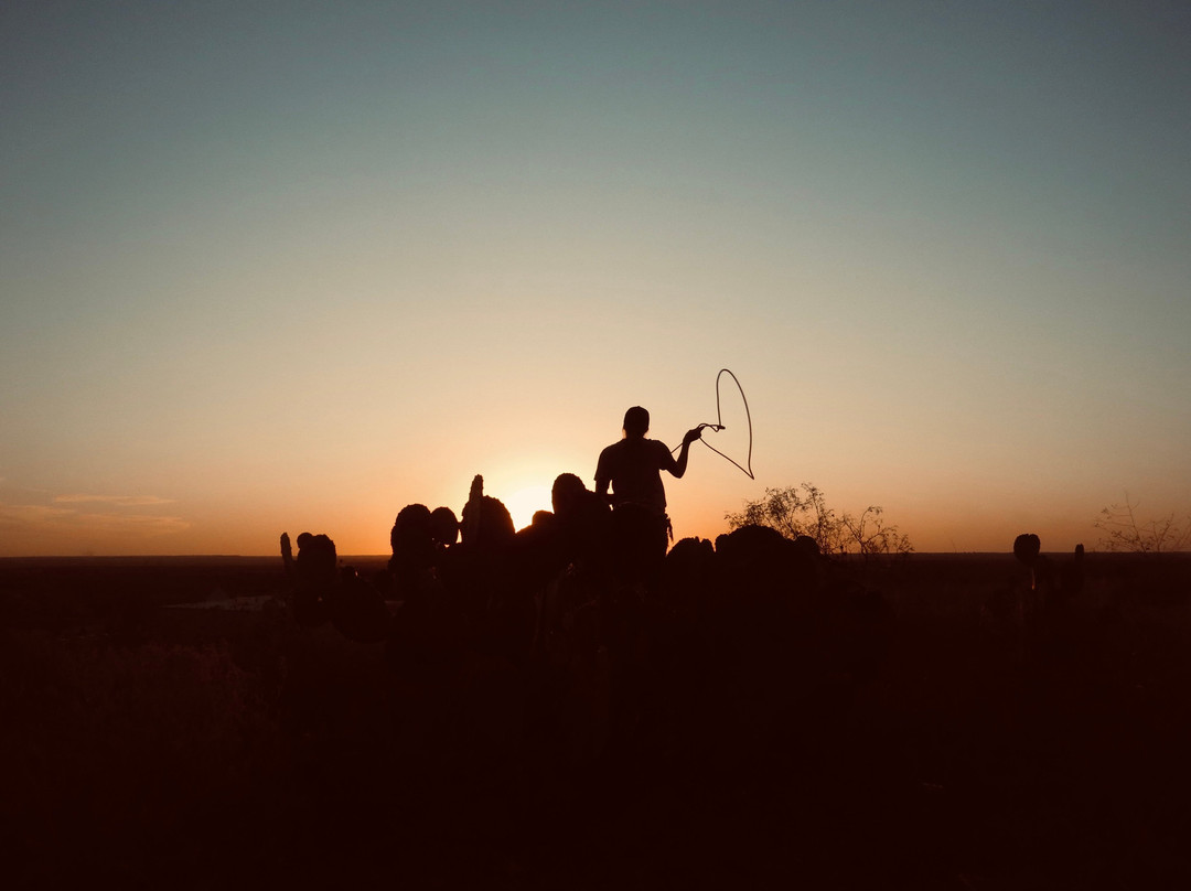 迪凯特希尔顿恒庭旅馆&套房酒店主图