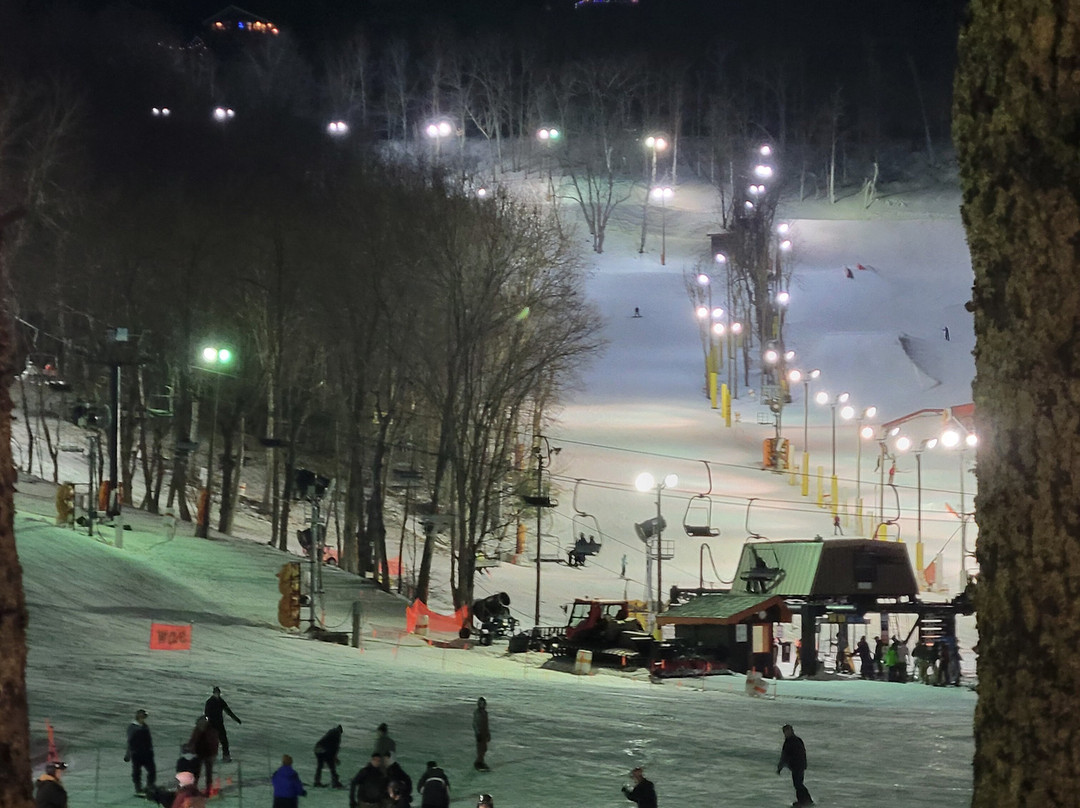 Graystone Lodge主图