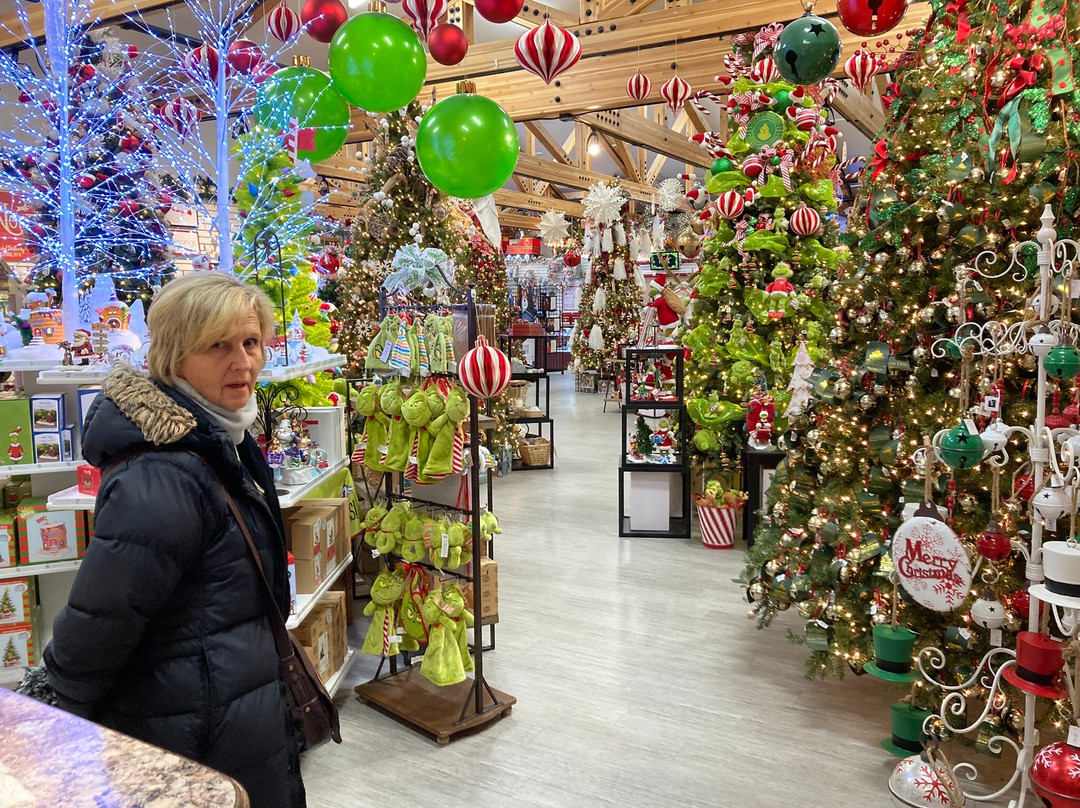 圣诞老人村-北极必去景点