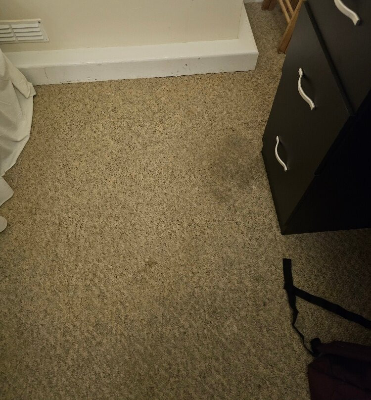 Maes Manor Hotel主图