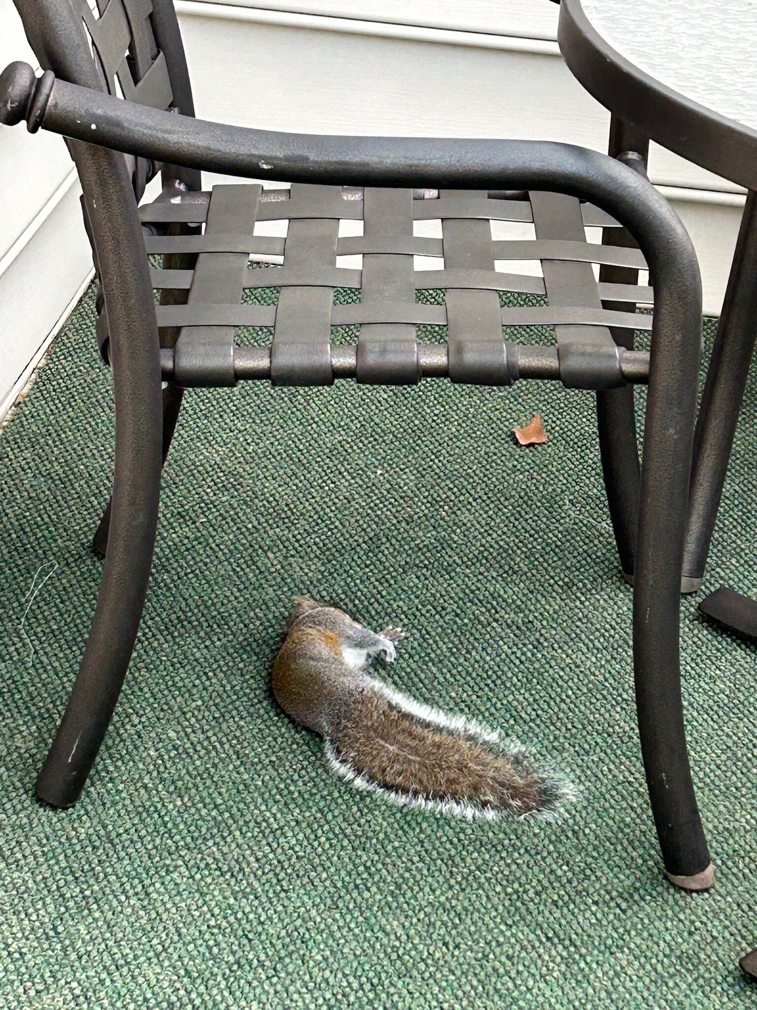 绿色春天假日度假酒店-官方