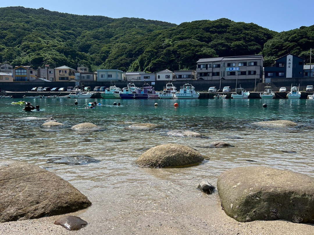 Kashiwajima Island-大月町必去景点