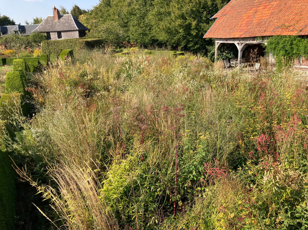 Le Jardin Plume景点图片