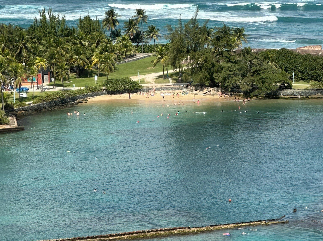 PR Dive-Bayamon必去景点