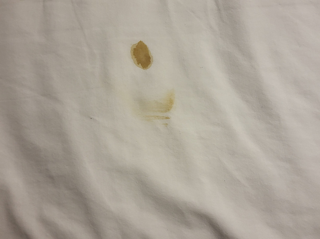 Microtel Inn & Suites By Wyndham Bushnell主图