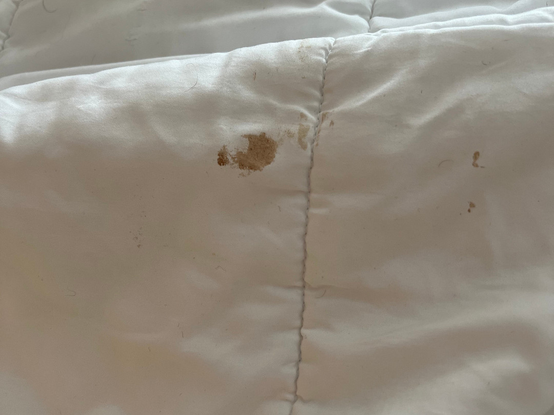 曼切斯特市中心希尔顿花园酒店主图