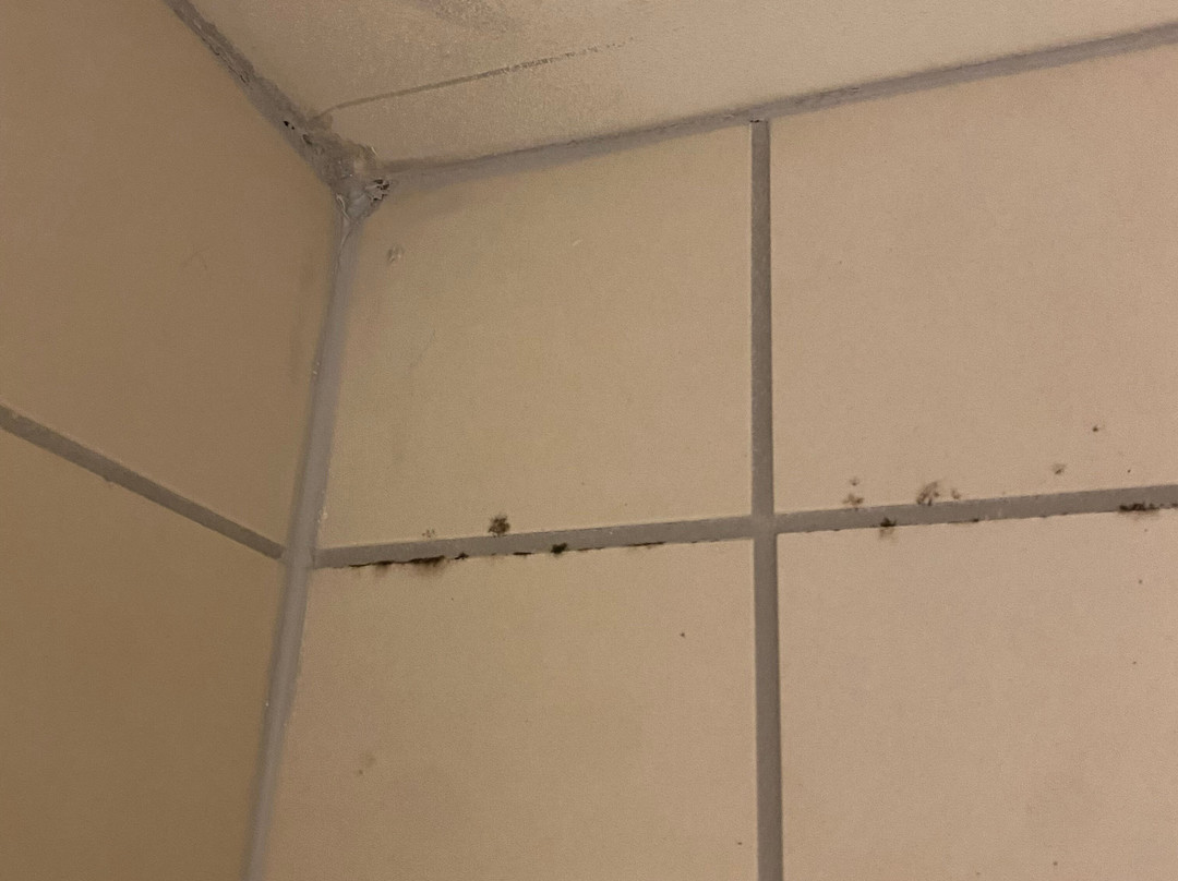 SpringHill Suites by Marriott Green Bay主图