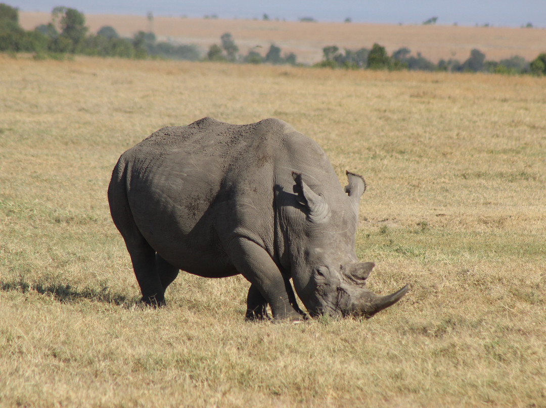 Sailepu Safari Adventures-南由基必去景点