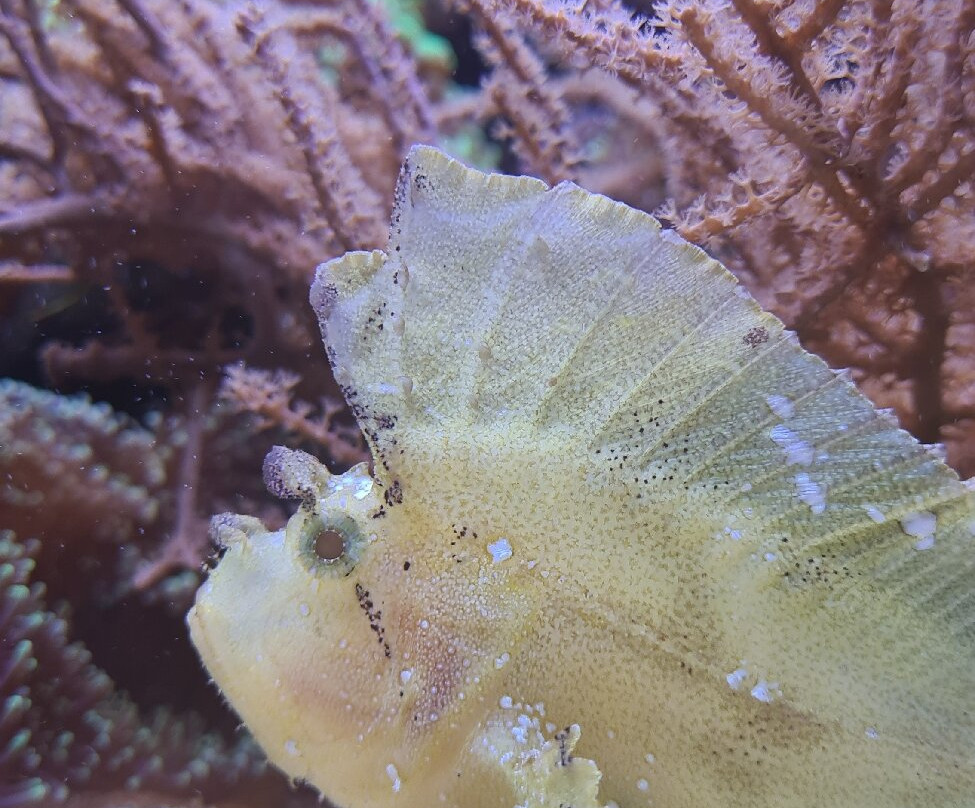 Aquarium de Lyon景点图片