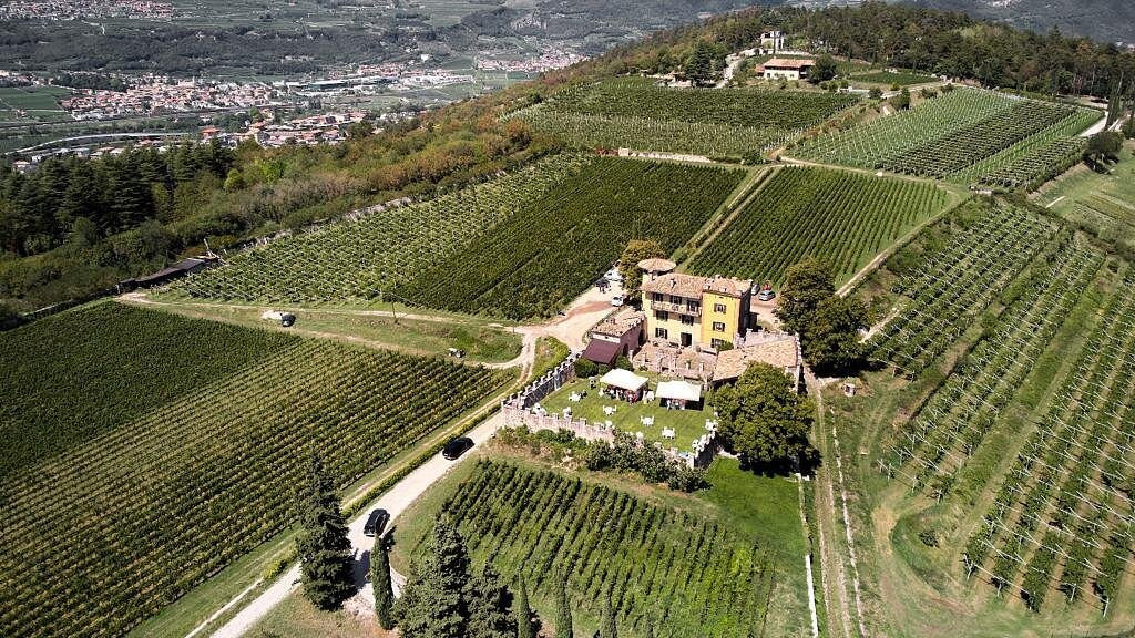 Azienda Agricola Balter景点图片