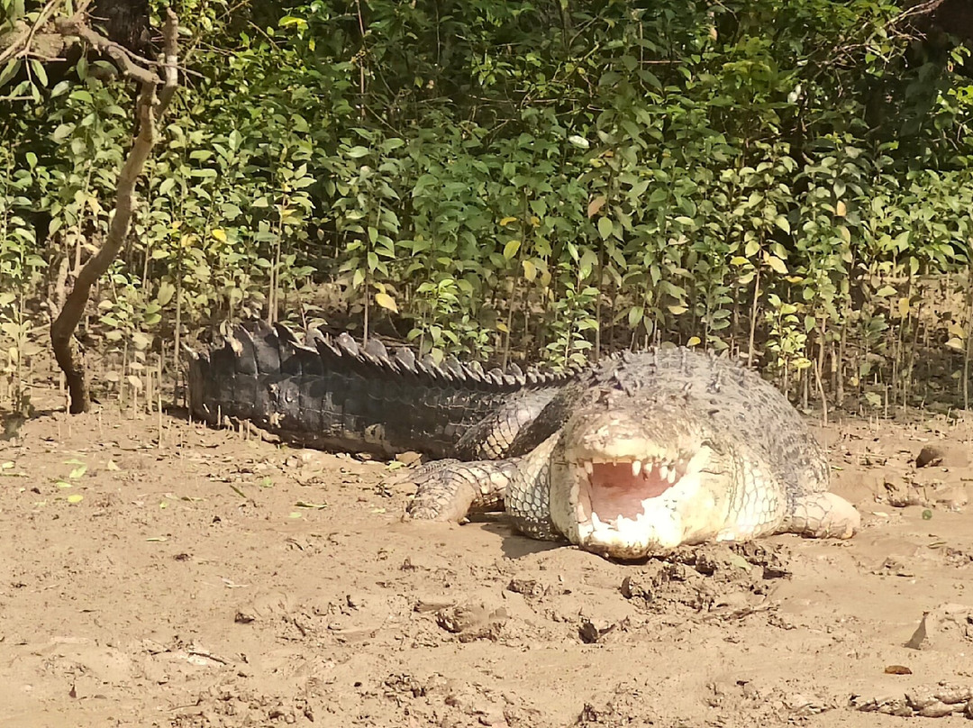 Bhitarkanika Wildlife Sanctuary景点图片