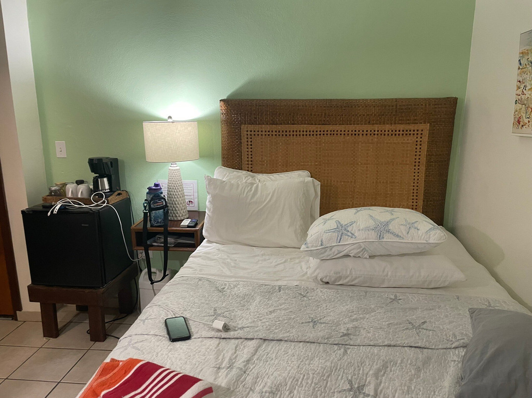 Villa Coral Guesthouse主图