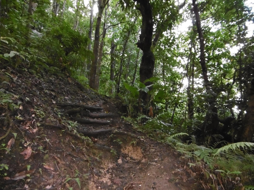 Source Attila-Le Morne-Vert必去景点