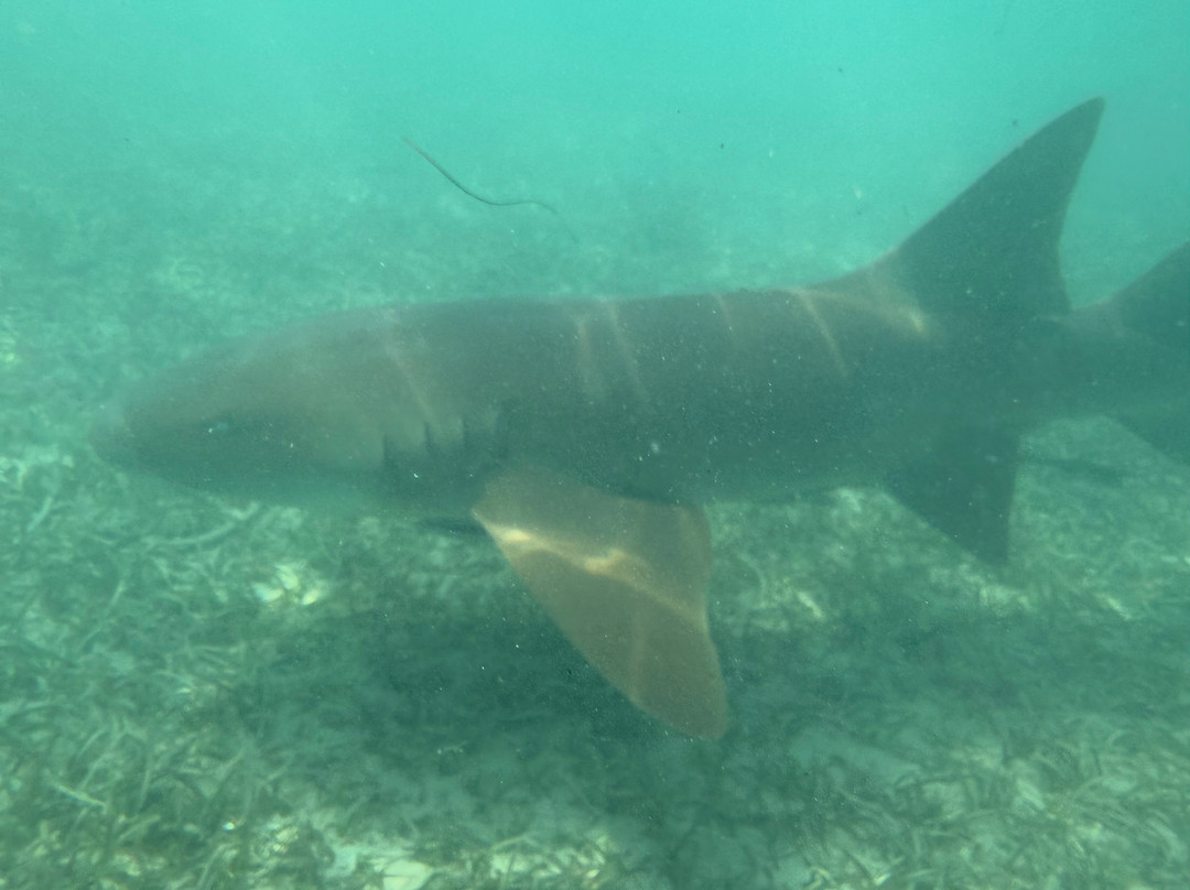 Hostal Casa Culebra主图