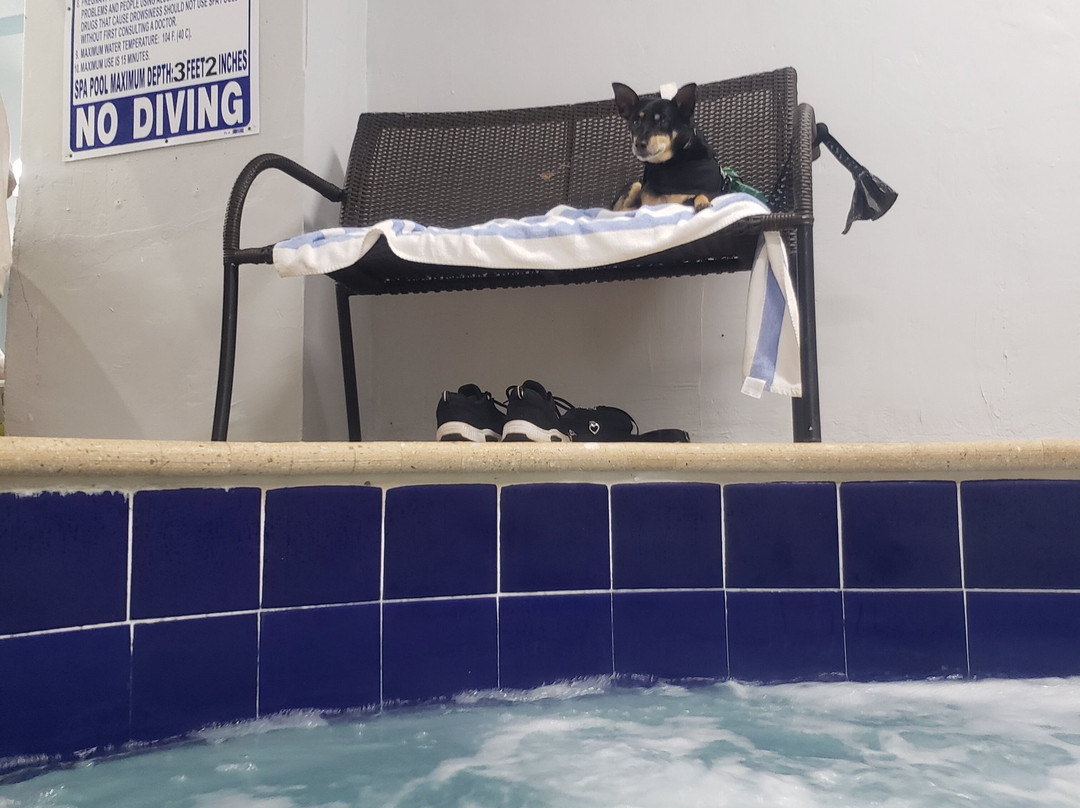 La Costa Beach Club Resort主图