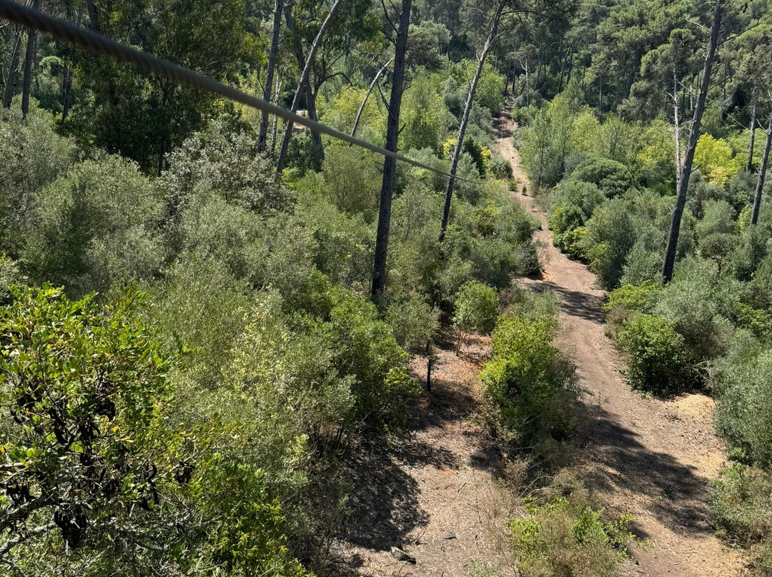 Adventure Park-里斯本必去景点