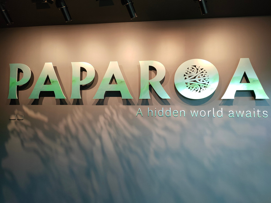 Paparoa Experience景点图片