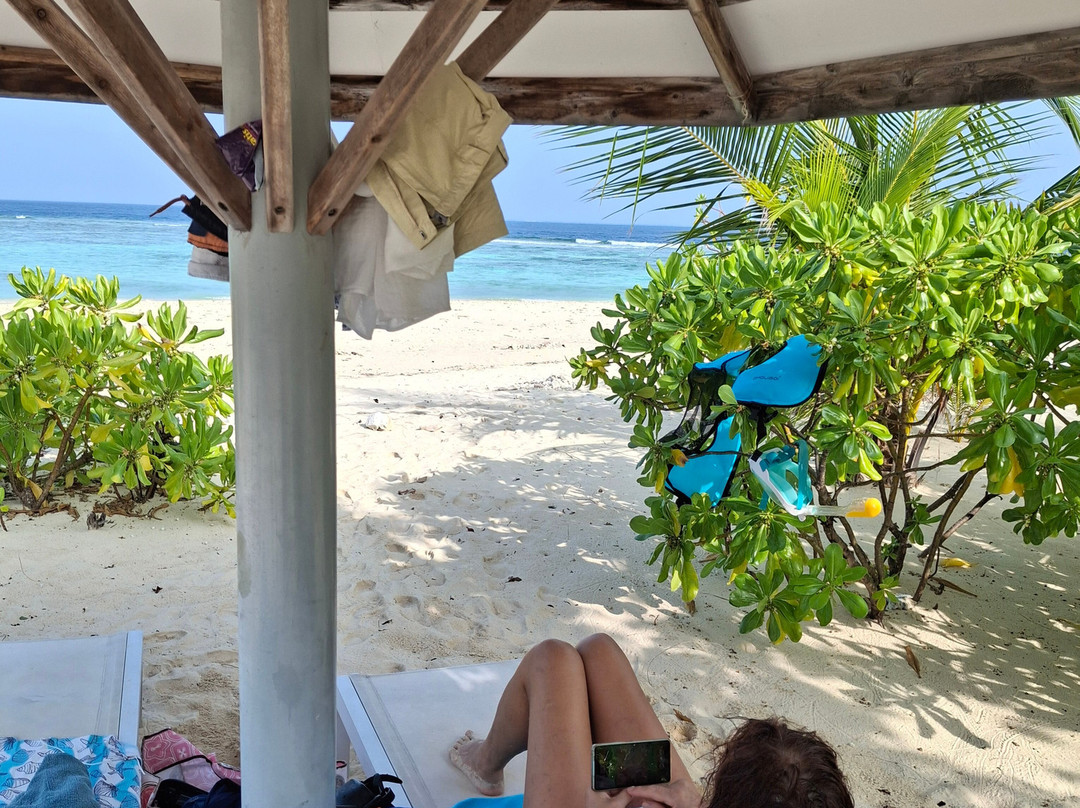 Goby Lodge guest house主图