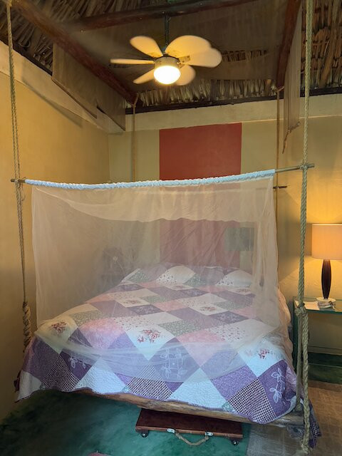 Genesis Eco Oasis主图