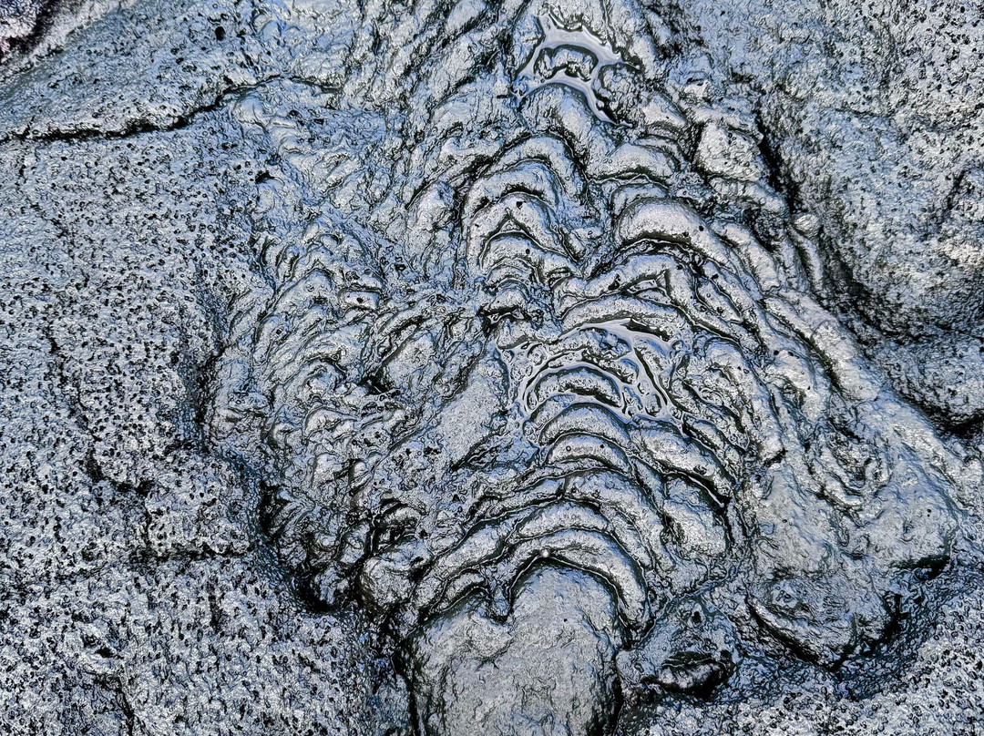 Coastal Lava Cliff Walk-Upolu必去景点