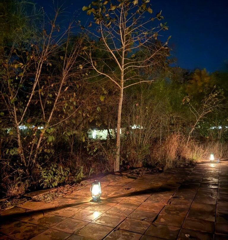 Red Earth Tadoba主图